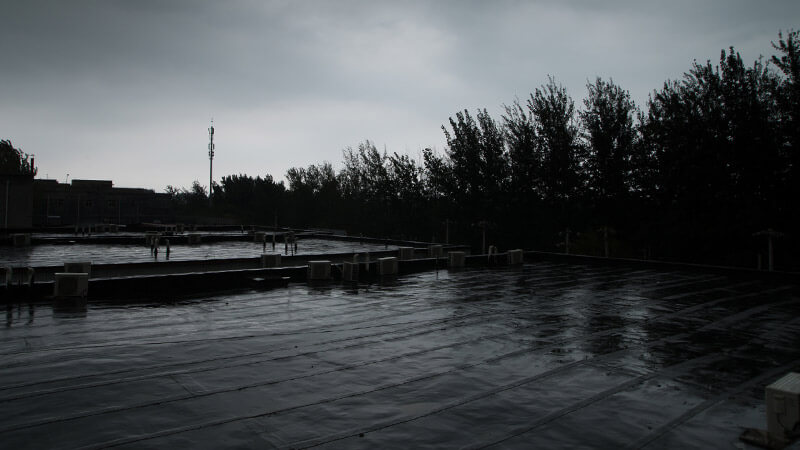 home_movie_gallery1 home_movie_gallery1